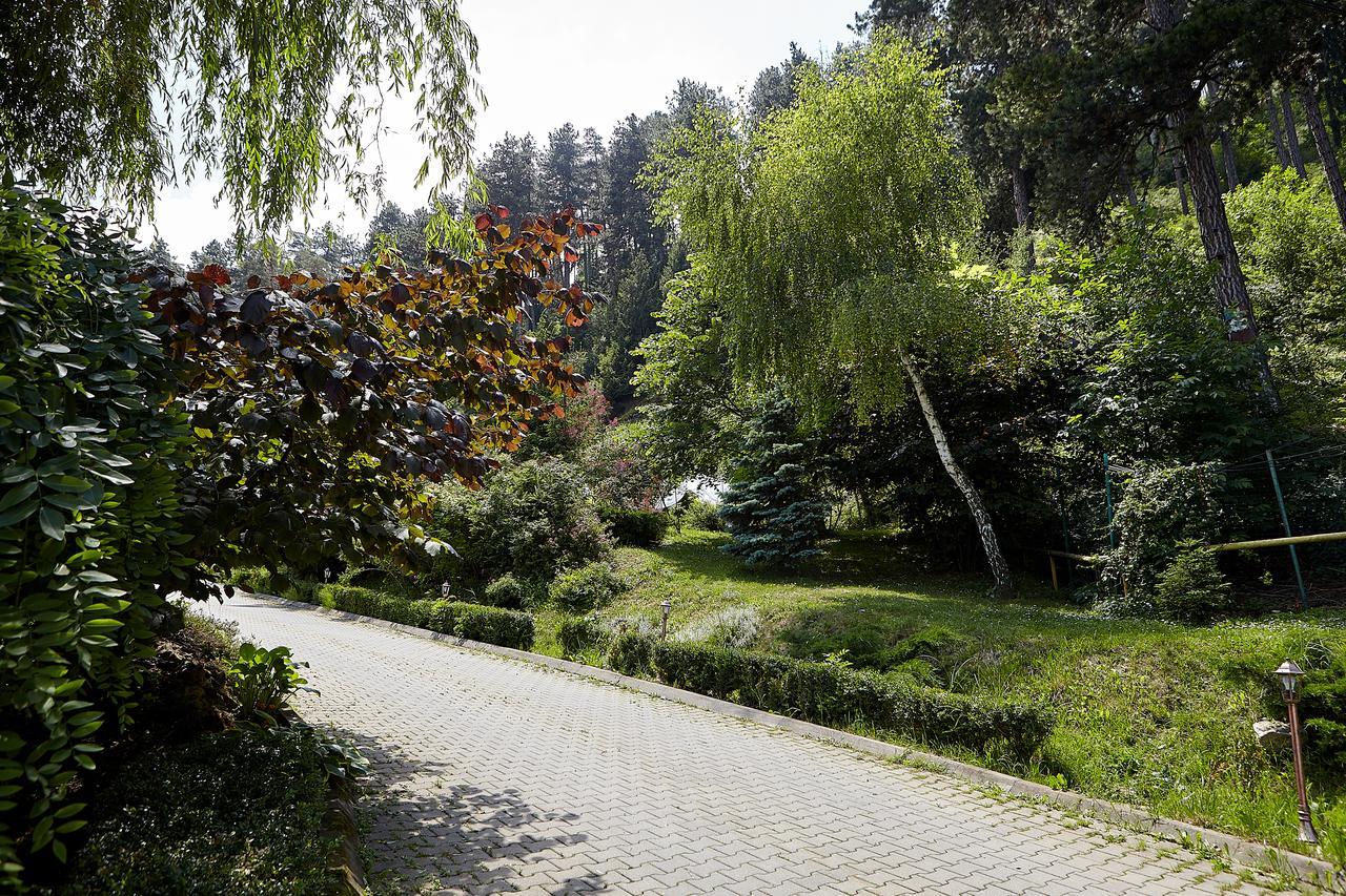 Bellavista Brasov Hotel Sacele Ngoại thất bức ảnh